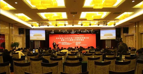 中關村互聯網文化創意產業園董事長齊康丞 在第十一屆北京文博會上談互聯網文化服務的創新與未來